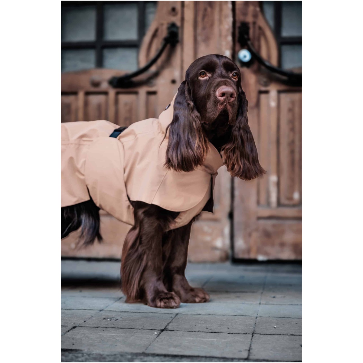 Paikka Visibility Rain Jacket, Taupe - Image 11