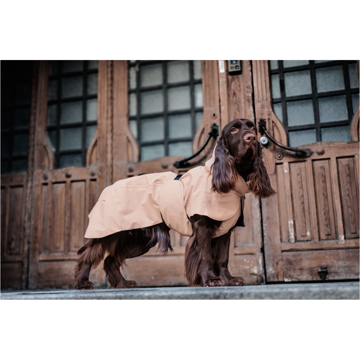 Paikka Visibility Regnjakke, Taupe - Billede 9