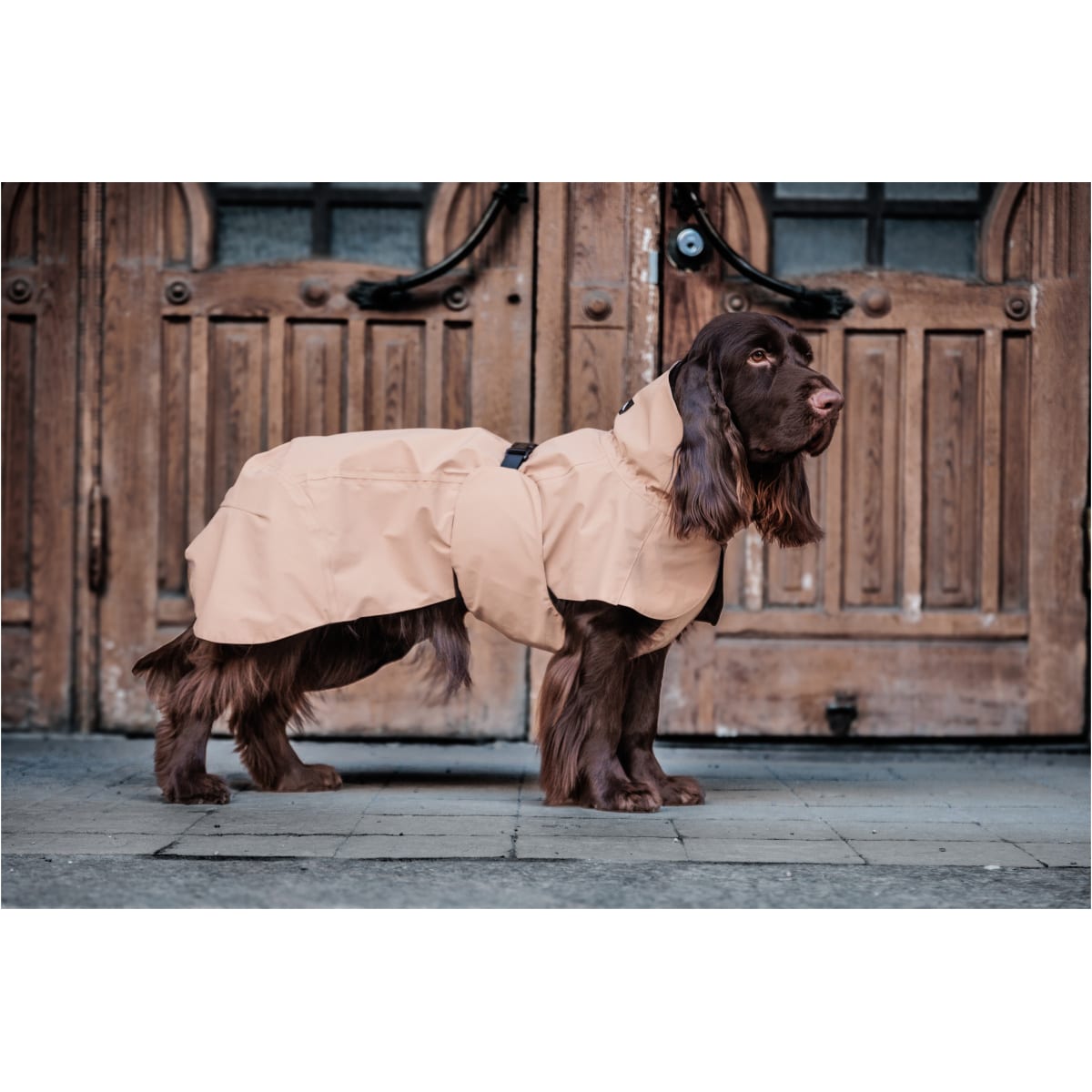 Paikka Visibility Regnjakke, Taupe - Billede 8