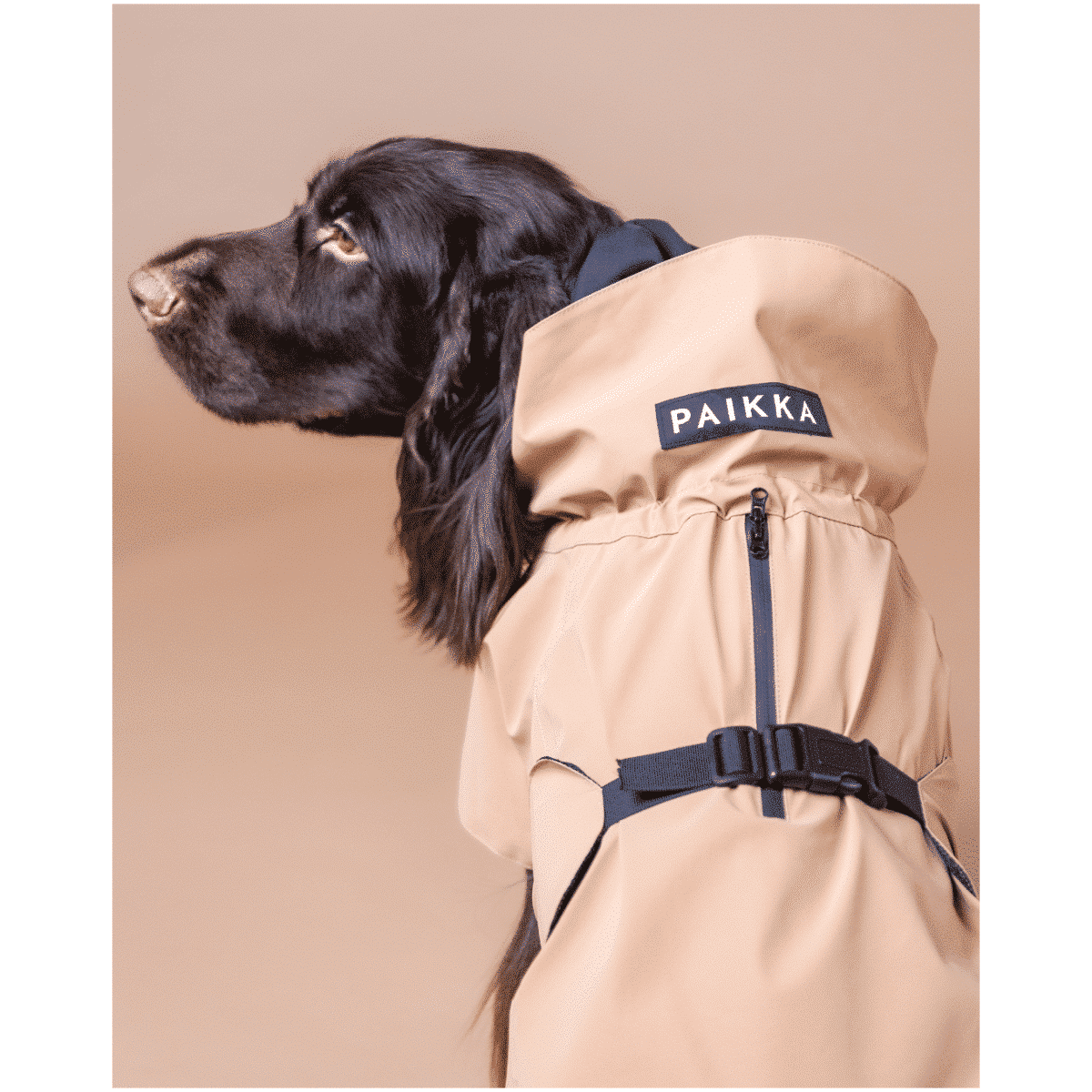 Paikka Visibility Rain Jacket, Taupe - Image 6