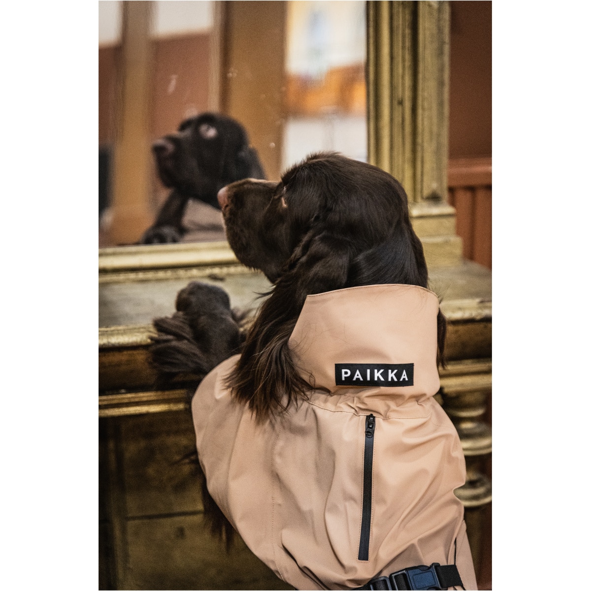 Paikka Visibility Regnjakke, Taupe - Billede 7