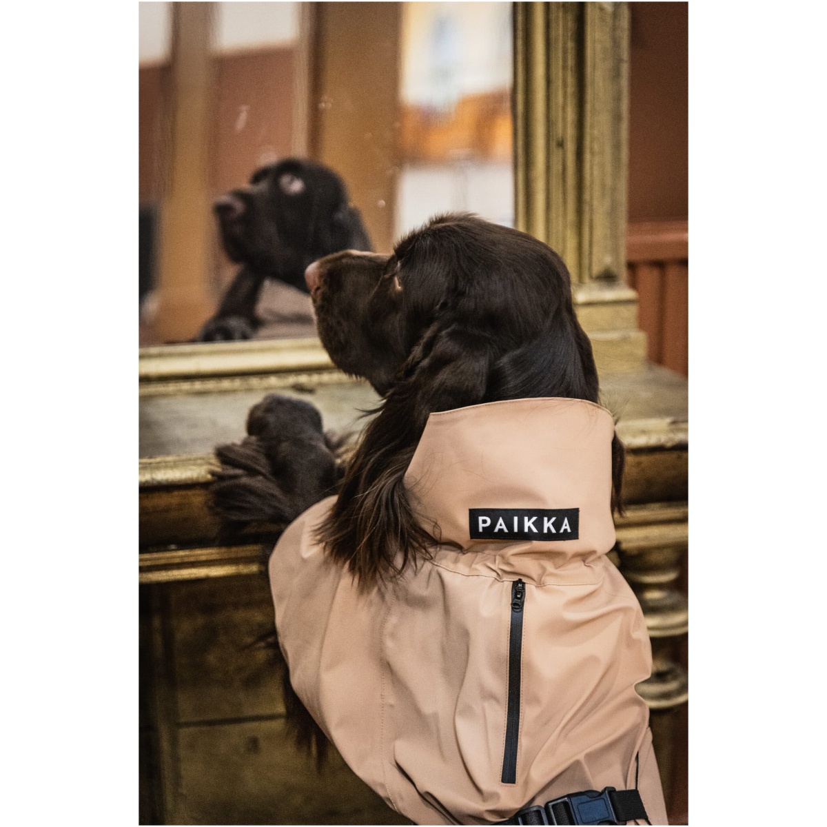 Paikka Visibility Rain Jacket, Taupe - Image 7