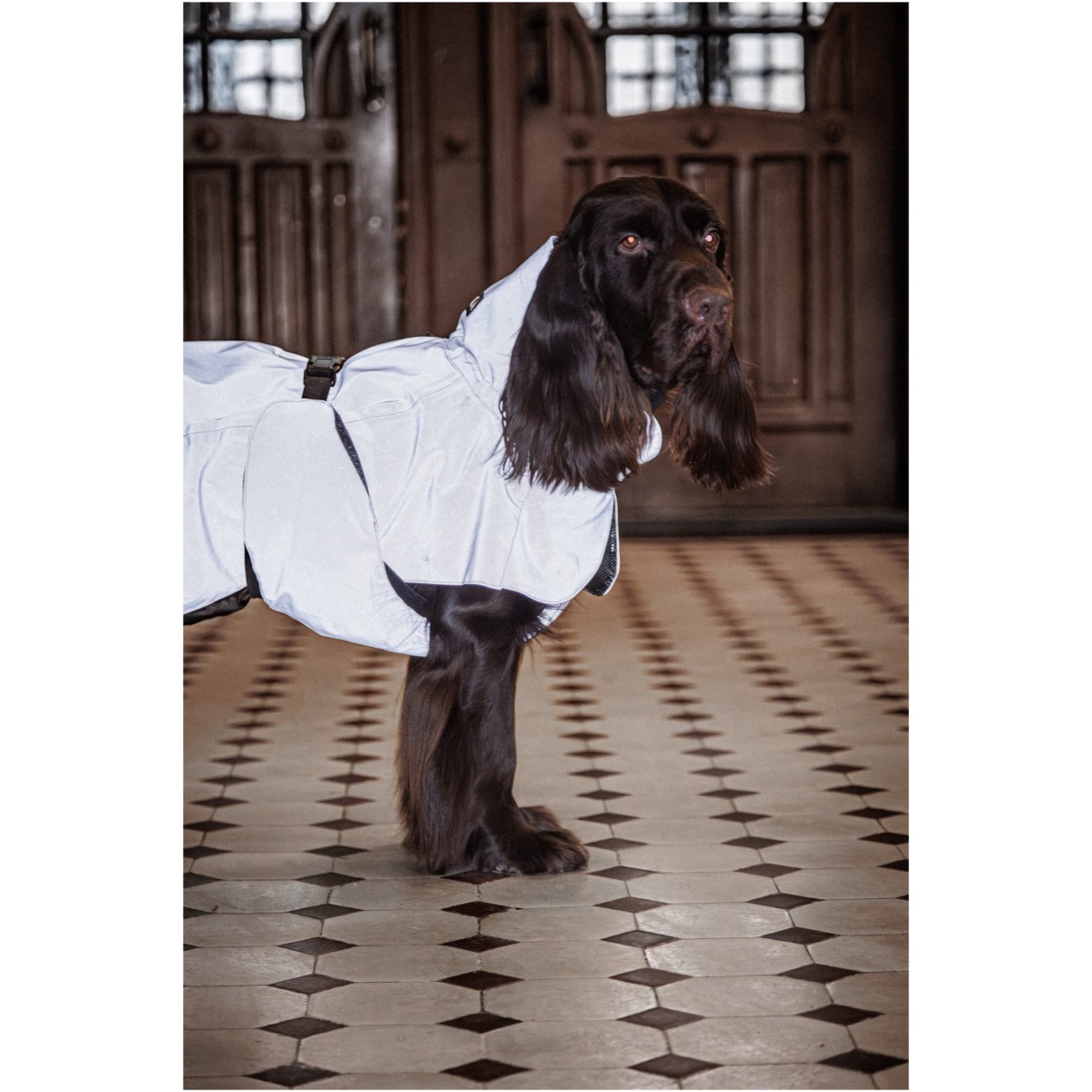 Paikka Visibility Rain Jacket, Taupe - Image 13