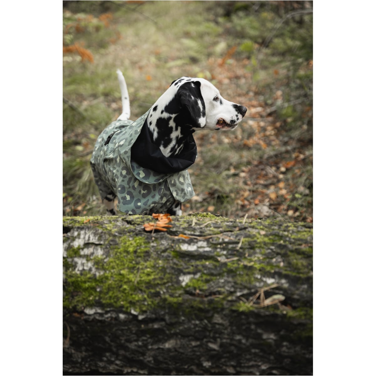 Paikka Visibility Regnjakke, Grøn Leo - Billede 8