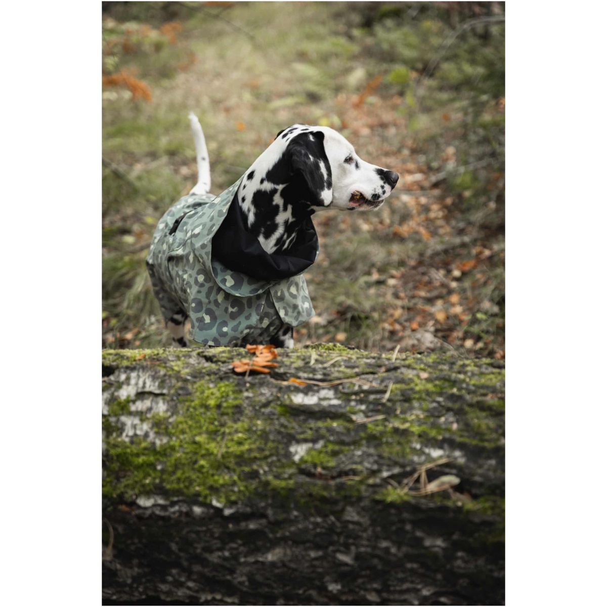 PAIKKA Visibility Rain Jacket, Green leo, 20 (Copy) - Image 8