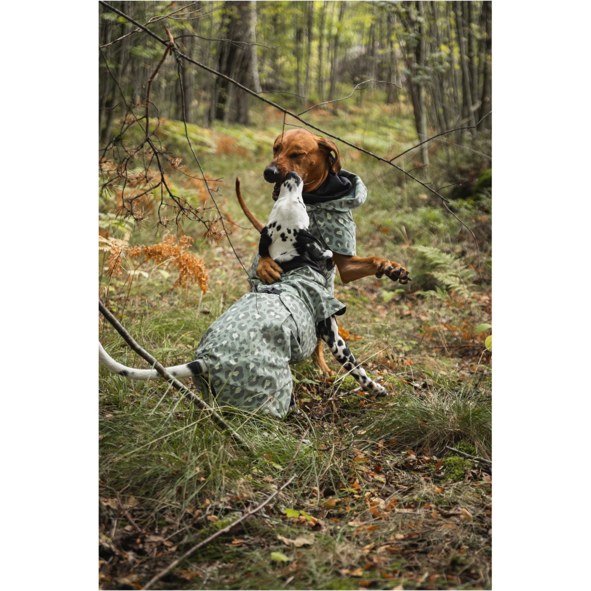 Paikka Visibility Regnjakke, Grøn Leo - Billede 6