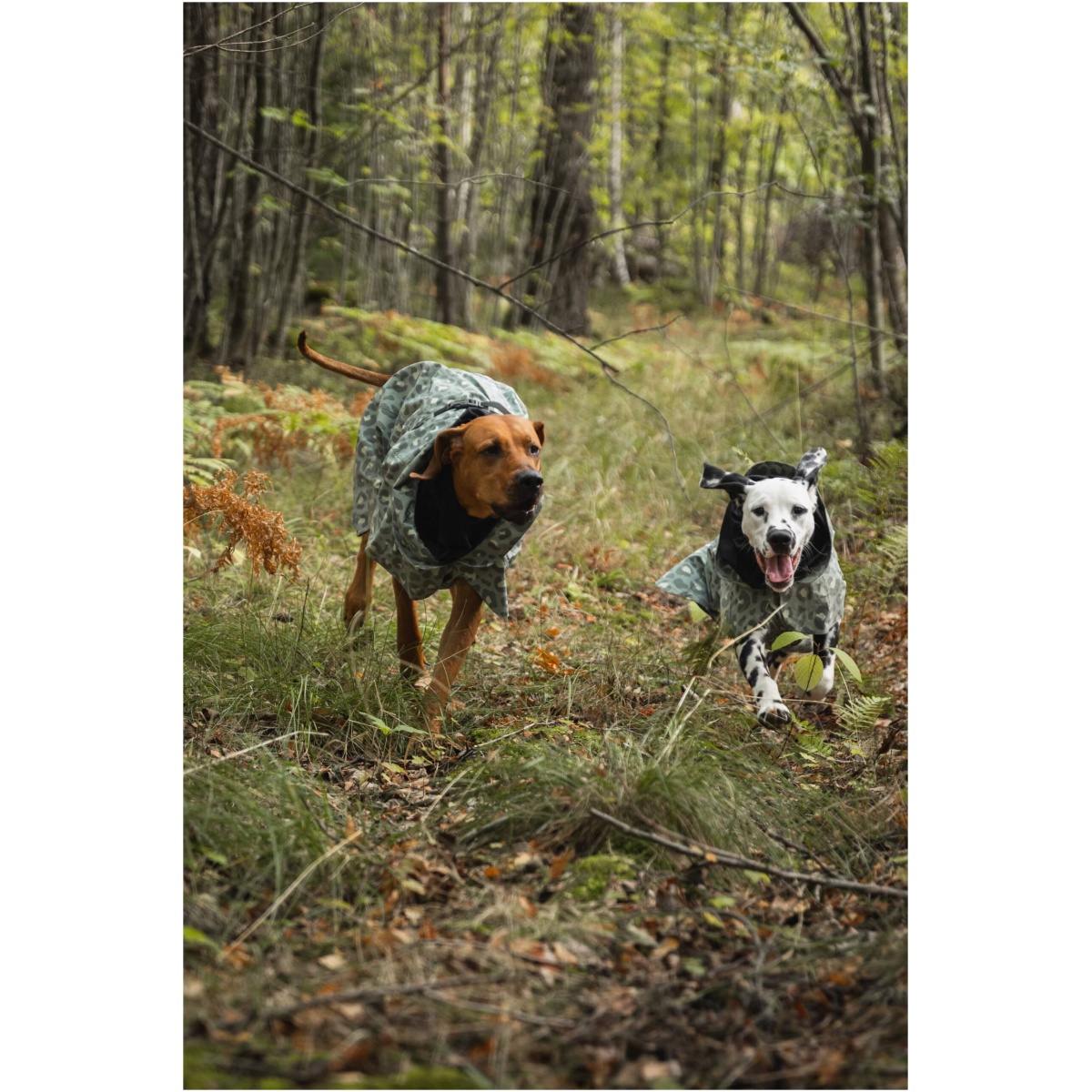 PAIKKA Visibility Rain Jacket, Green leo, 20 (Copy) - Image 7