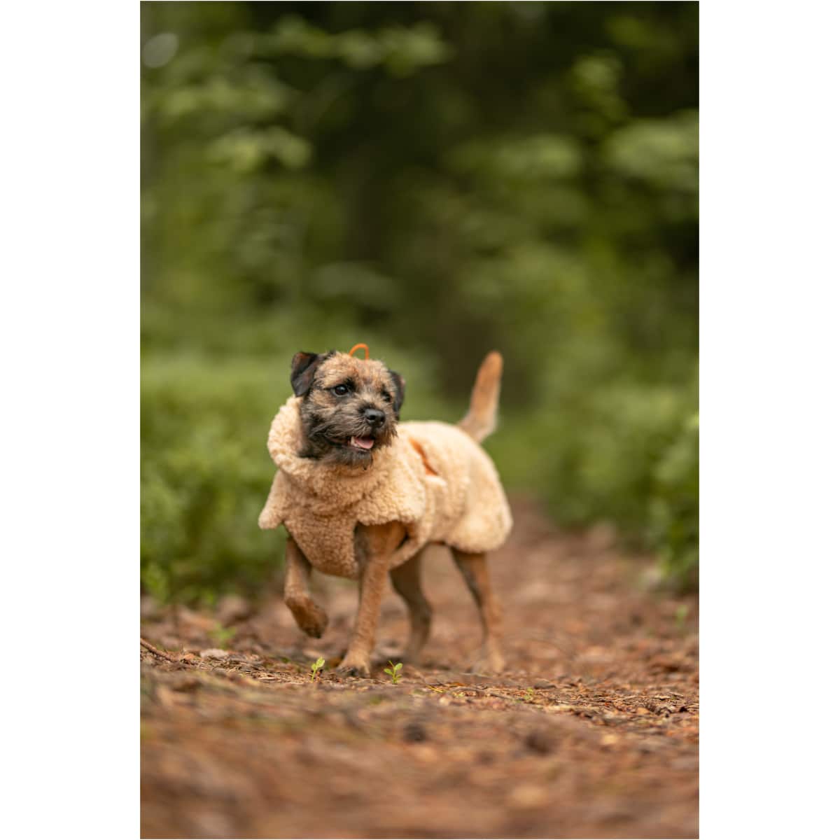 Paikka Sherpa Trøje, Taupe - Billede 11