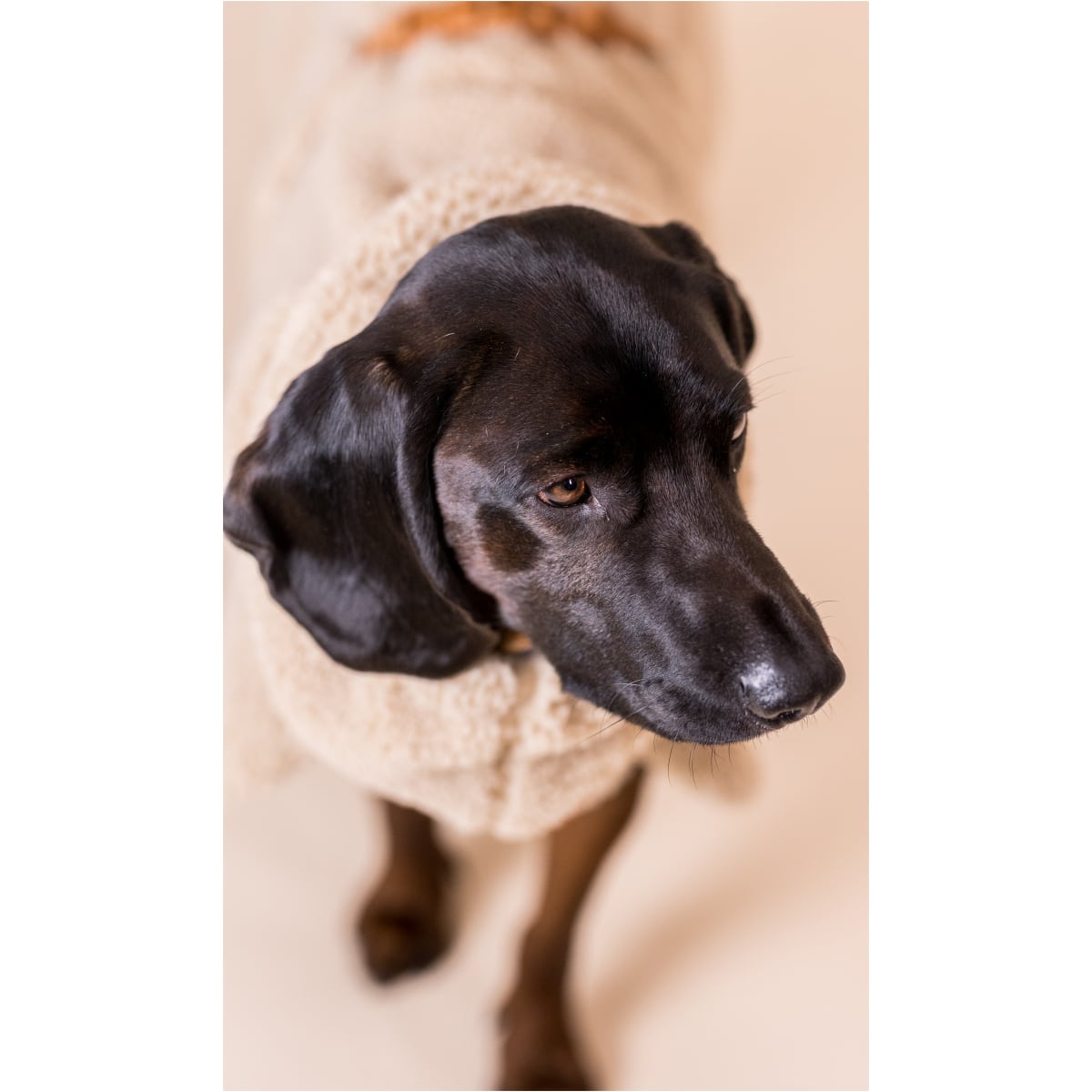 Paikka Sherpa Trøje, Taupe - Billede 7