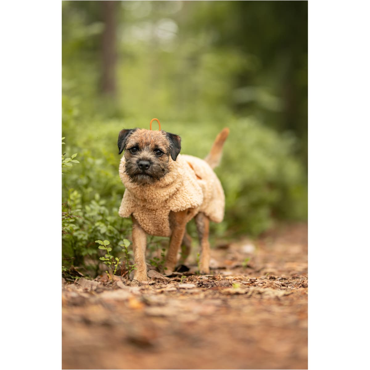 Paikka Sherpa Trøje, Taupe - Billede 9