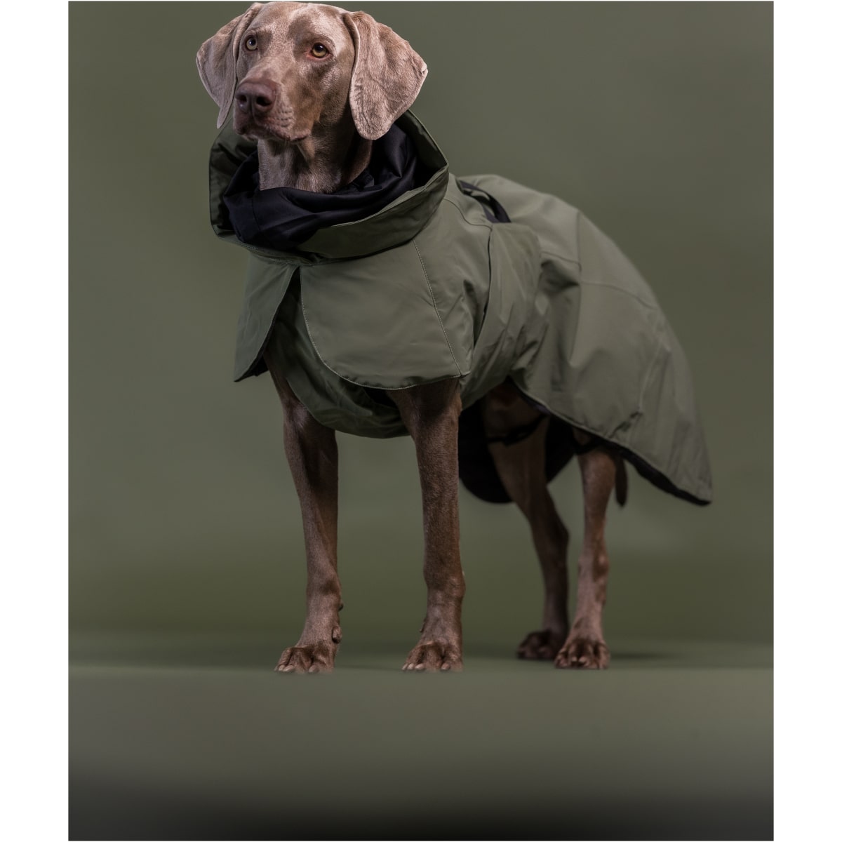 Paikka Visibility Vinterfrakke Uld, Grøn - Billede 6