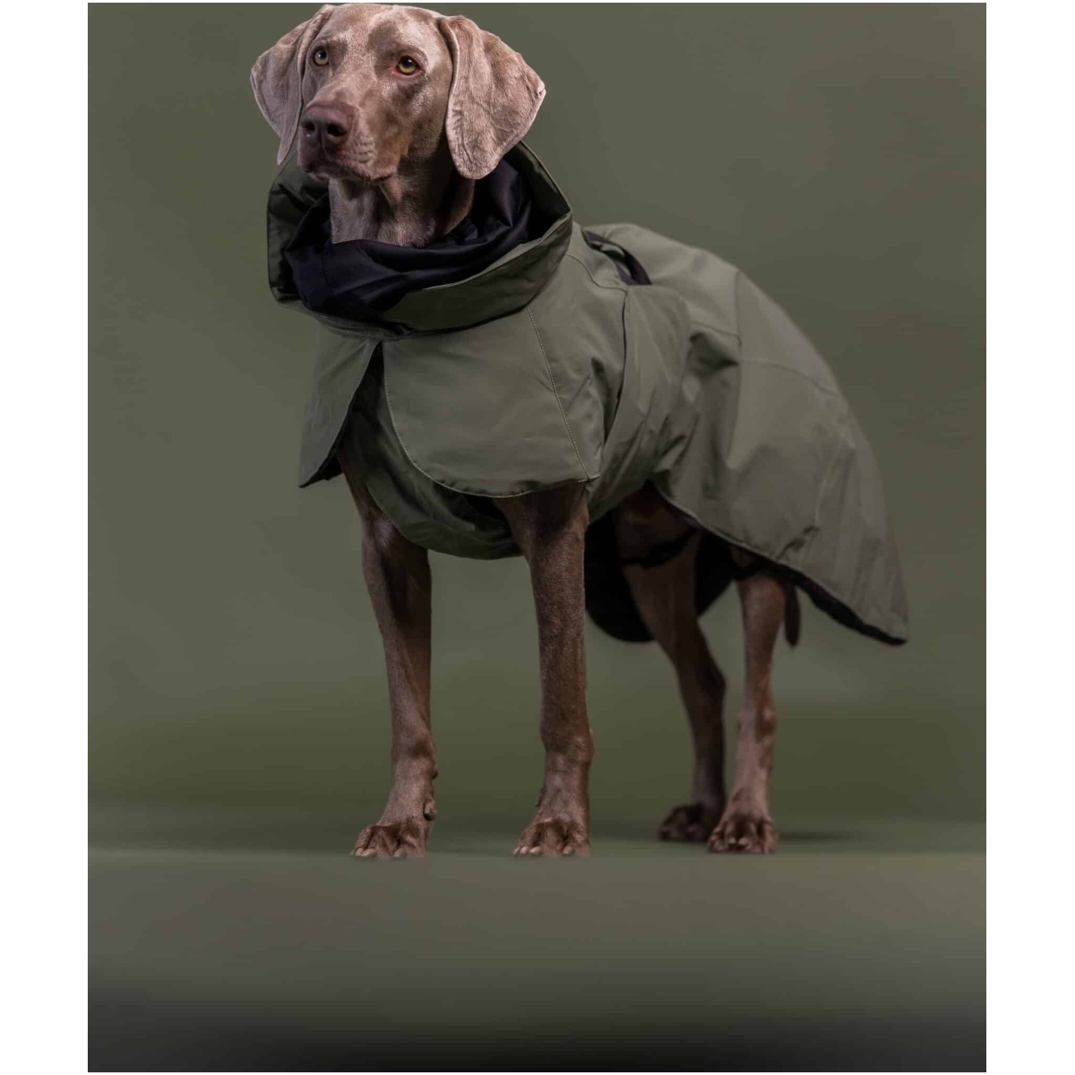 Paikka Visibility winter coat wool, Green 20 - Image 6