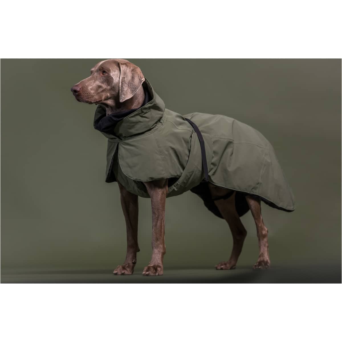 Paikka Visibility Vinterfrakke Uld, Grøn - Billede 8