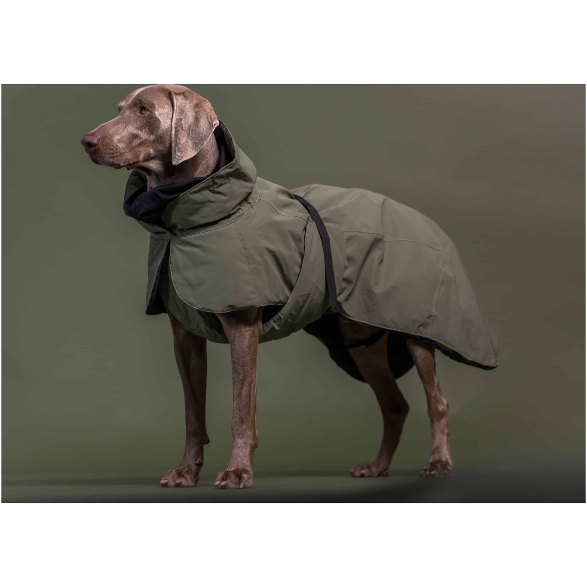 Paikka Visibility winter coat wool, Green 20 - Image 8