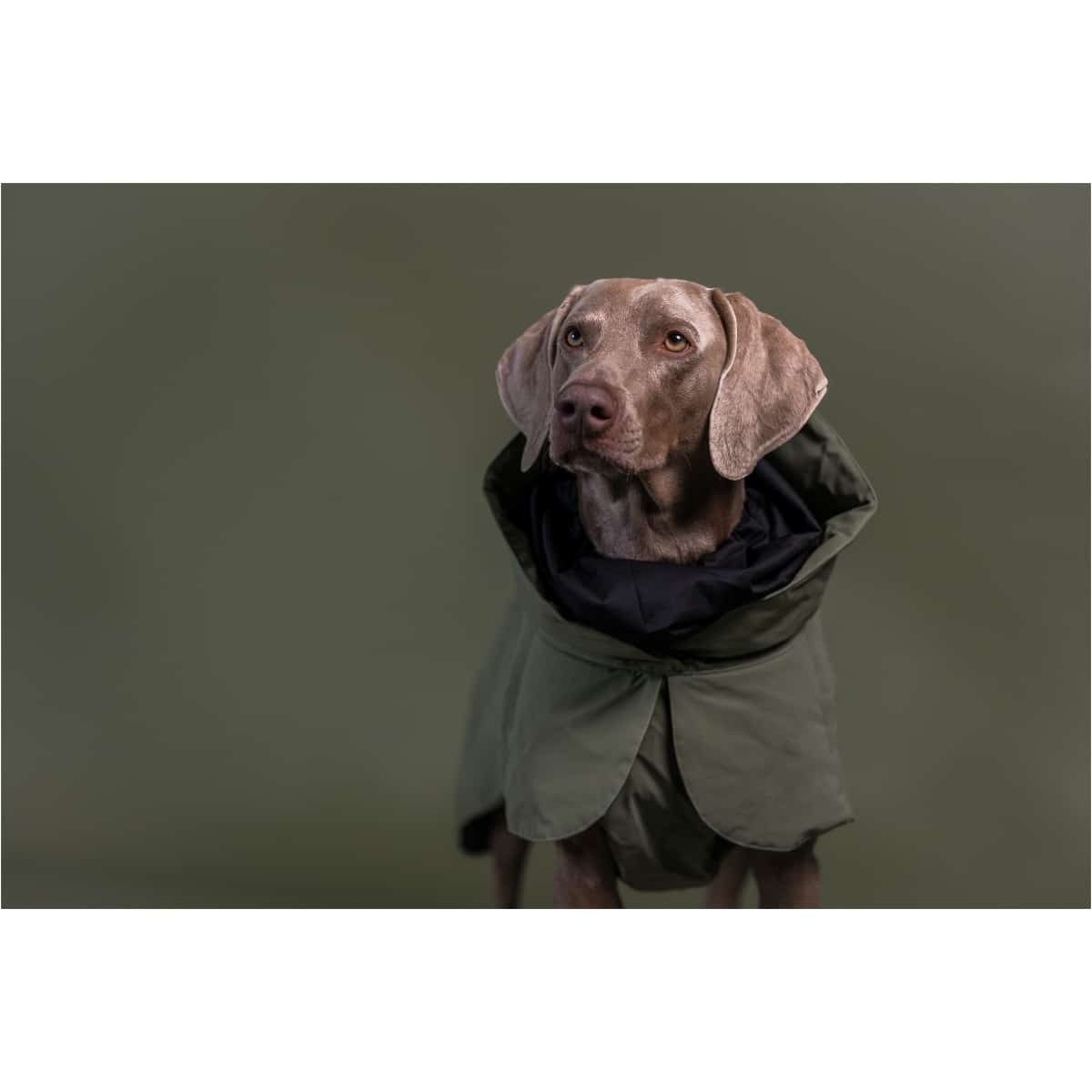 Paikka Visibility Vinterfrakke Uld, Grøn - Billede 9