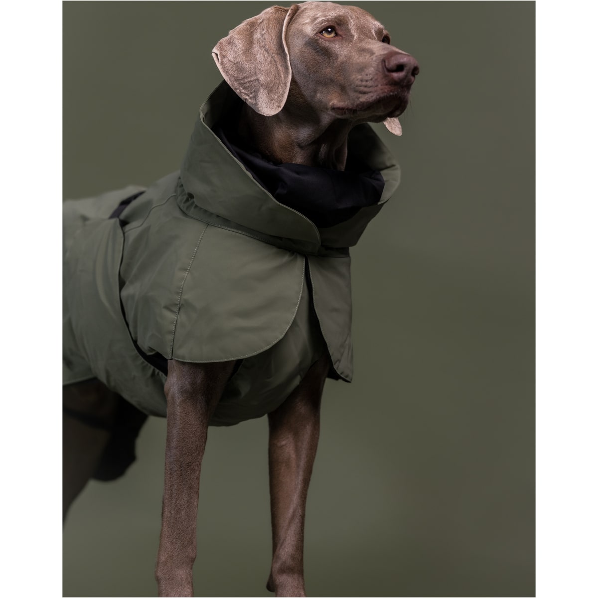 Paikka Visibility Vinterfrakke Uld, Grøn - Billede 7