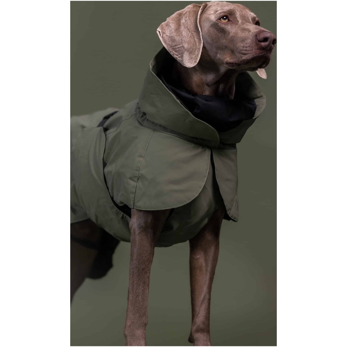 Paikka Visibility winter coat wool, Green 20 - Image 7