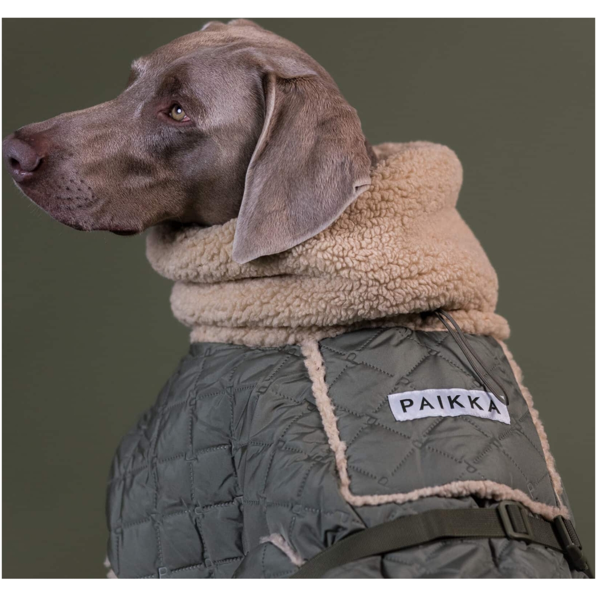 Paikka Gesteppte Sherpa Jacke, Olive, 25 (Kopier) – Bild 7