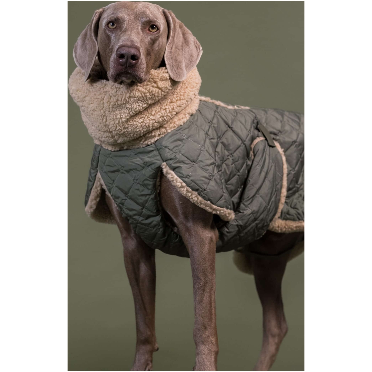 Paikka Gesteppte Sherpa Jacke, Olive, 25 (Kopier) – Bild 8