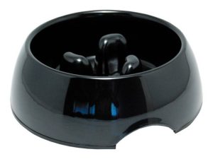 Königlicher-Skaal-wenn-du-für-die-Eile-gegessen-hast